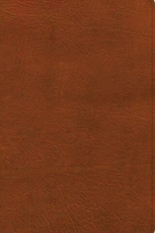 9781430086024 Large Print Thinline Bible NASB 2020 Edition