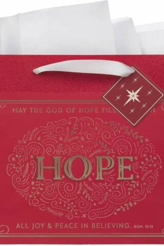 1220000327030 Large Landscape Inspirational Christmas Gift Bag
