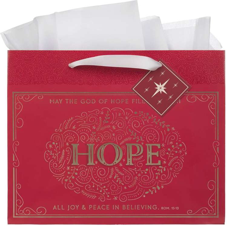 1220000327030 Large Landscape Inspirational Christmas Gift Bag