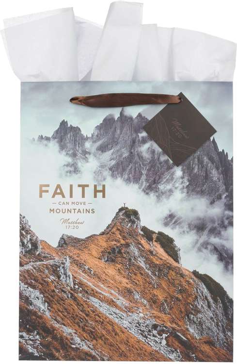 1220000328709 Large Portrait Inspirational Scripture Gift Bag